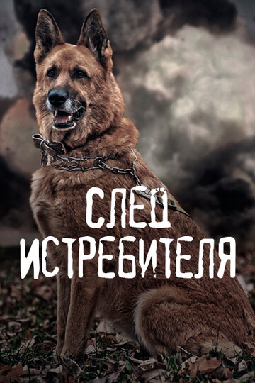 След Истребителя (2015)